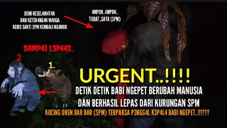 🔴 Lagi Viral Banget! Siluman Babi Ngepet Ketawain Bang Spm Master Pengg4l Kepalanya | Pemburu Hantu