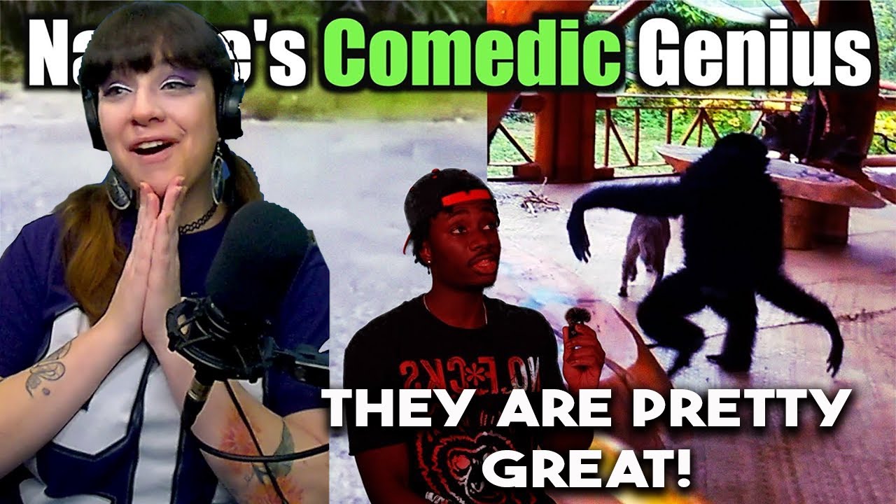 *Я их просто обожаю!* Это самое смешное животное на Земле, простите — Casual Geographic