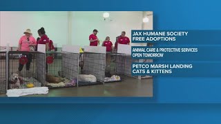 459 animals find their fur-ever home during Mega Pet Adoptions event at Jacksonville Fairgrounds