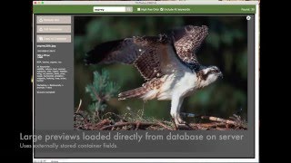 TfLPhotos screenshot 1