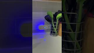 Review: Unobtrusive fly trap, 3 days in
