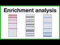 Enrichment analysis: A short introduction to the core concepts of gene set enrichment analysis