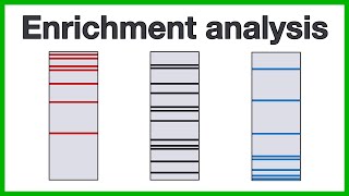 Enrichment analysis: A short introduction to the core concepts of gene set enrichment analysis screenshot 1