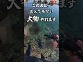 【穴釣り】ヤバすぎる大物ヒット！ #shorts