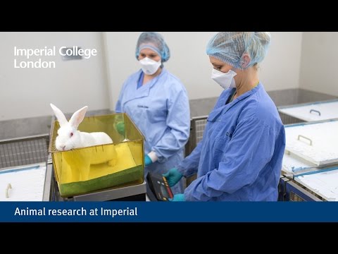 Animal research at
