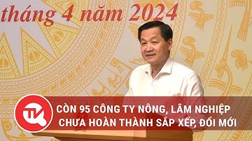 Còn 95 công ty nông, lâm nghiệp chưa hoàn thành sắp xếp, đổi mới | Truyền hình Quốc hội Việt Nam