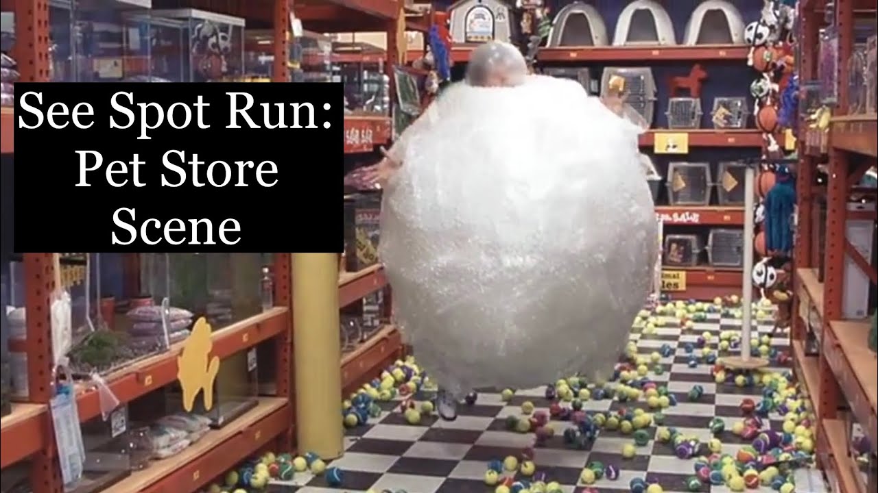 See Spot Run Pet Store Scene YouTube See Spot Run Pet Store Scene YouTube