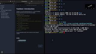 tldr: Custom cheatsheets using Tealdeer