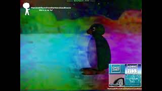 Pingu Runs away from home in DMA