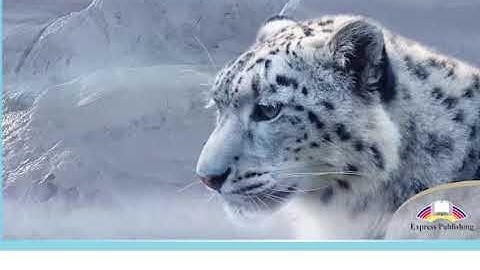 Excel 9 module 4 Volunteering