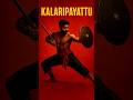 1-Kalaripayattu martial art #shorts #indianculture #martialarts #kalaripayattu