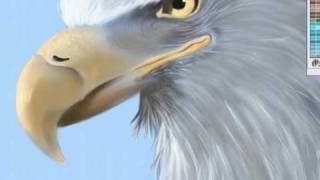 American Bald Eagle Painting by Tamerair (Fast Motion)
