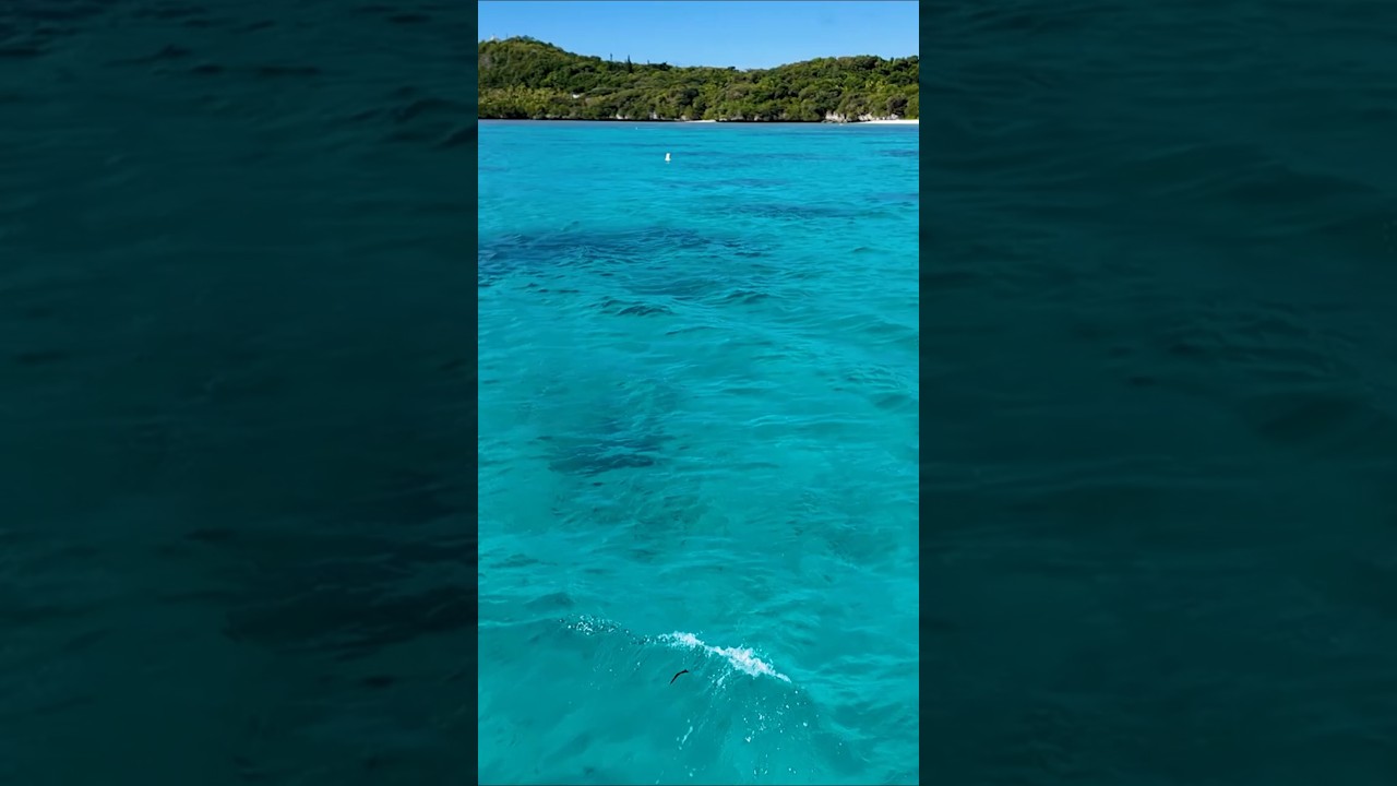 Lifou Island, New Caledonia - The Carnival Encounter cruise - Brisbane to Vanuatu New Caledonia 2026