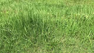 IMG 6934