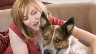 No More Aggression - Australian Cattle Dog - Don Sullivan The DogFather