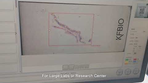 400 Slides Digital pathology scanner