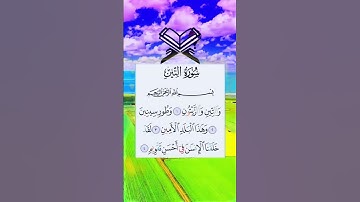 والتين والزيتون 💚💛سورة التين ⚘️حالات واتس اب دينية مؤثرة Quran Status ⚘️