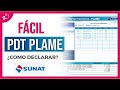 Como declarar el PDT PLAME 2021 - Sunat (Actualizado) | Por primera vez tutorial paso a paso