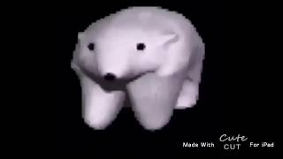 walking polar bear meme lol