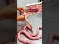 Perfectly Filled Cantonese Sausages