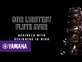 Yamaha YFL212 Flute – Giving you the best start | Yamaha Music