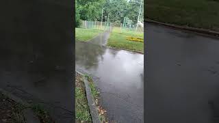 ☔Летом попала под неожиданный ливень.🌳