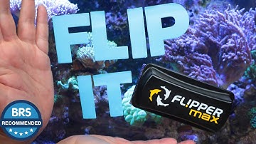 It’s BRS Recommended - The Flipper magnetic aquarium glass cleaners!