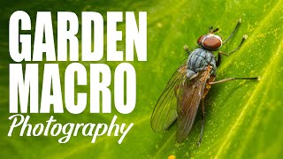 Garden Macro Photography | Take and Make Great Photography with Gavin Hoey
