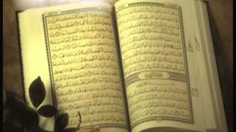 سورة الملك .. بصوت الشيخ عادل ريان