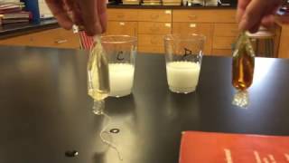 Iodine Starch Diffusion Lab