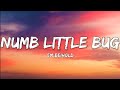Em Beihold Numb Little Bug Lyrics Video 