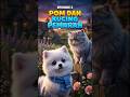 Episode 2- Pom dan kucing pemarah. Jangan lupa follow untuk EPISODE 3...!