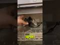 plugging in a Xbox controller