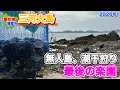 謎多き三河大島で潮干狩り。島のアサリはスゴかった。
