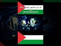 كلنا عموما مش كدا ؟