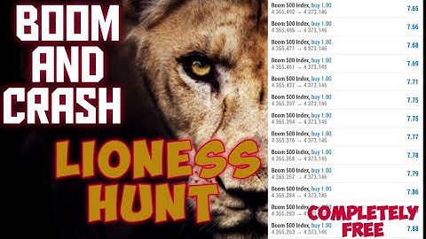 Boom and Crash Lioness Hunt Robot|Best strategy for boom and Crash |Boom and Crash strategy|FREE!