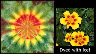 How to Ice Dye a Blooming Bouquet