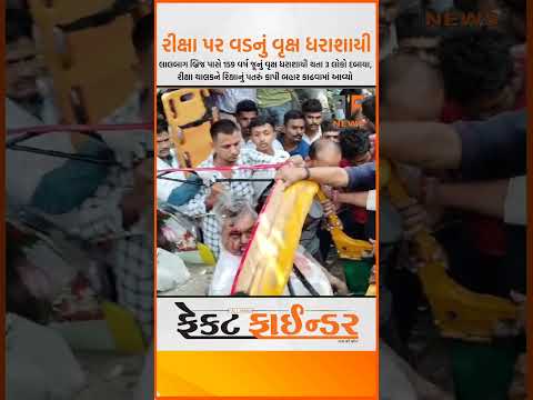 રીક્ષા પર વડનું વૃક્ષ ધરાશાયી #factfindernews #vadodara #reel