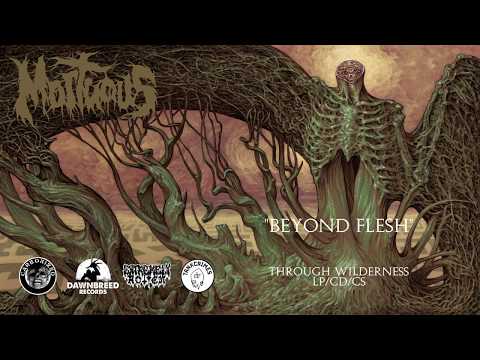 Mortuous - "Through Wilderness" (Full Album)