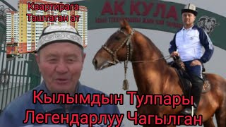 Чагылган⚡Легендарлуу✨КЫРГЫЗ🇰🇬Тулпары🔥КУЛУНДАРЫ💣озгочо экен💥