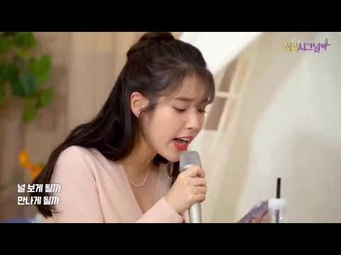 IU sings BTS song SPRING DAY