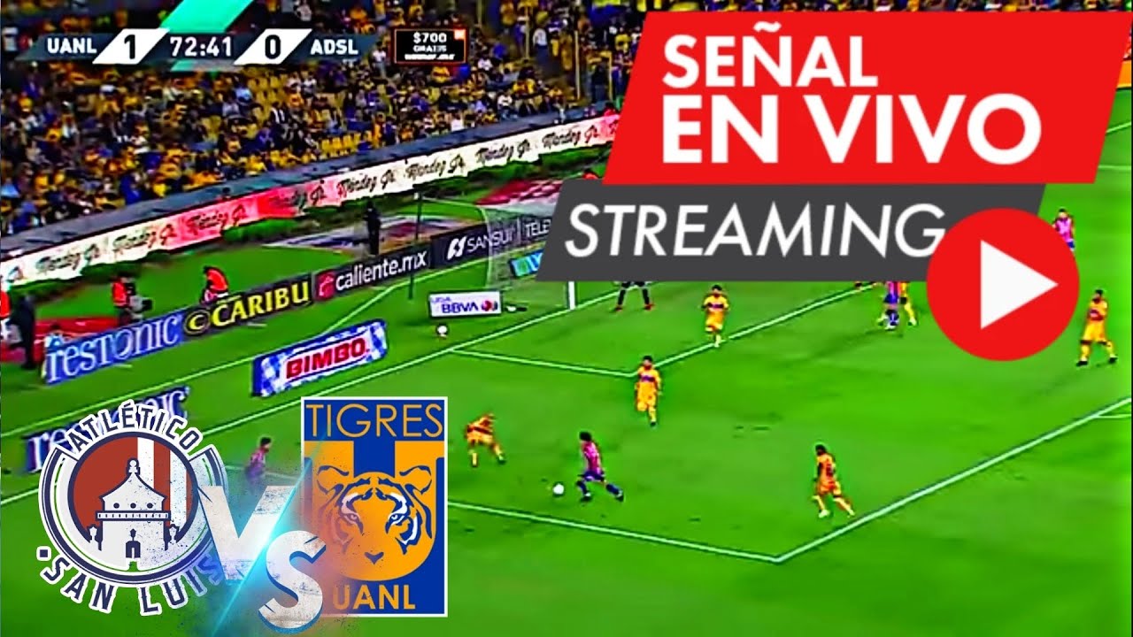 EN VIVO SAN LUIS vs TIGRES (Jornada 4) LIGA MX - YouTube