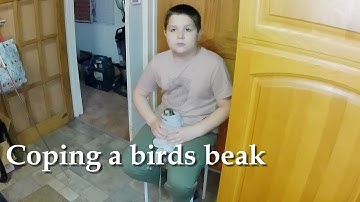 Coping a birds beak