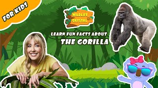 Gorilla Facts