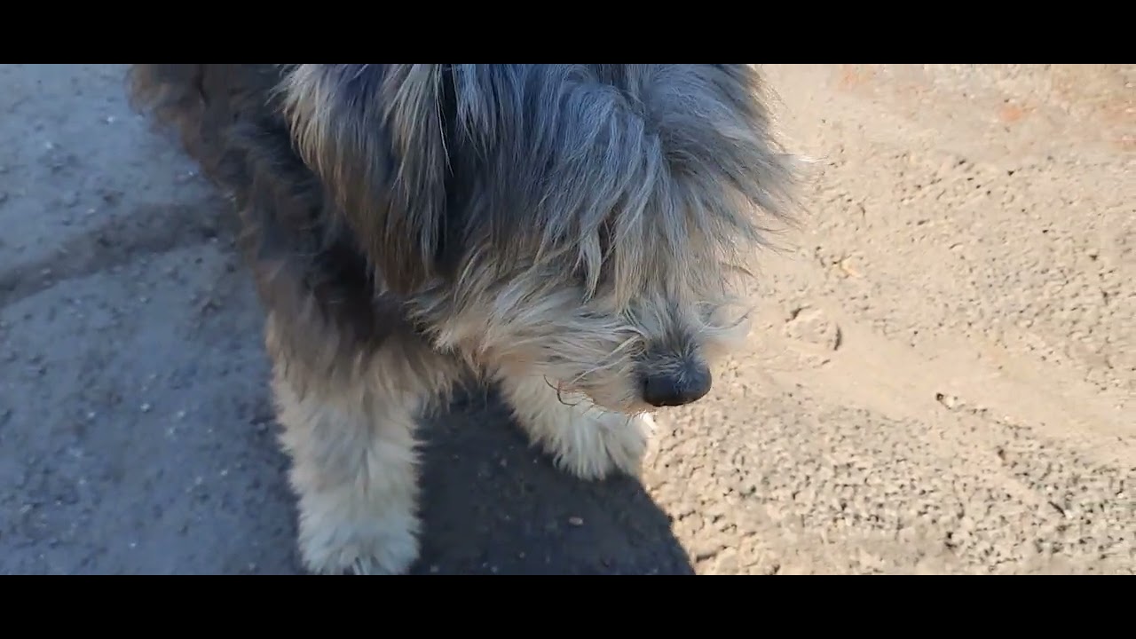 07.03.26🗿+5'☀️Граевка 