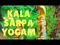 Kala sarpa yogam vs kala sarpa dosham remedies  bharat karma healing