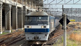 EF210型134号機 桃太郎 旧塗装 A231運用 中線停車(11番線) in小山駅