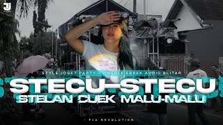 DJ STECU-STECU VIRAL TIKTOK FULL BASS PARTY ASEK KANE - P2A RVLTN X EBREK AUDIO