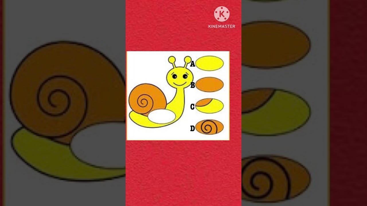 Find the missing piece of the picture 