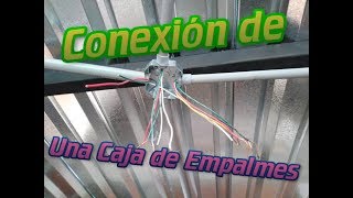 Caja de empalmes (Conexión y empalmes ) Electrialegria